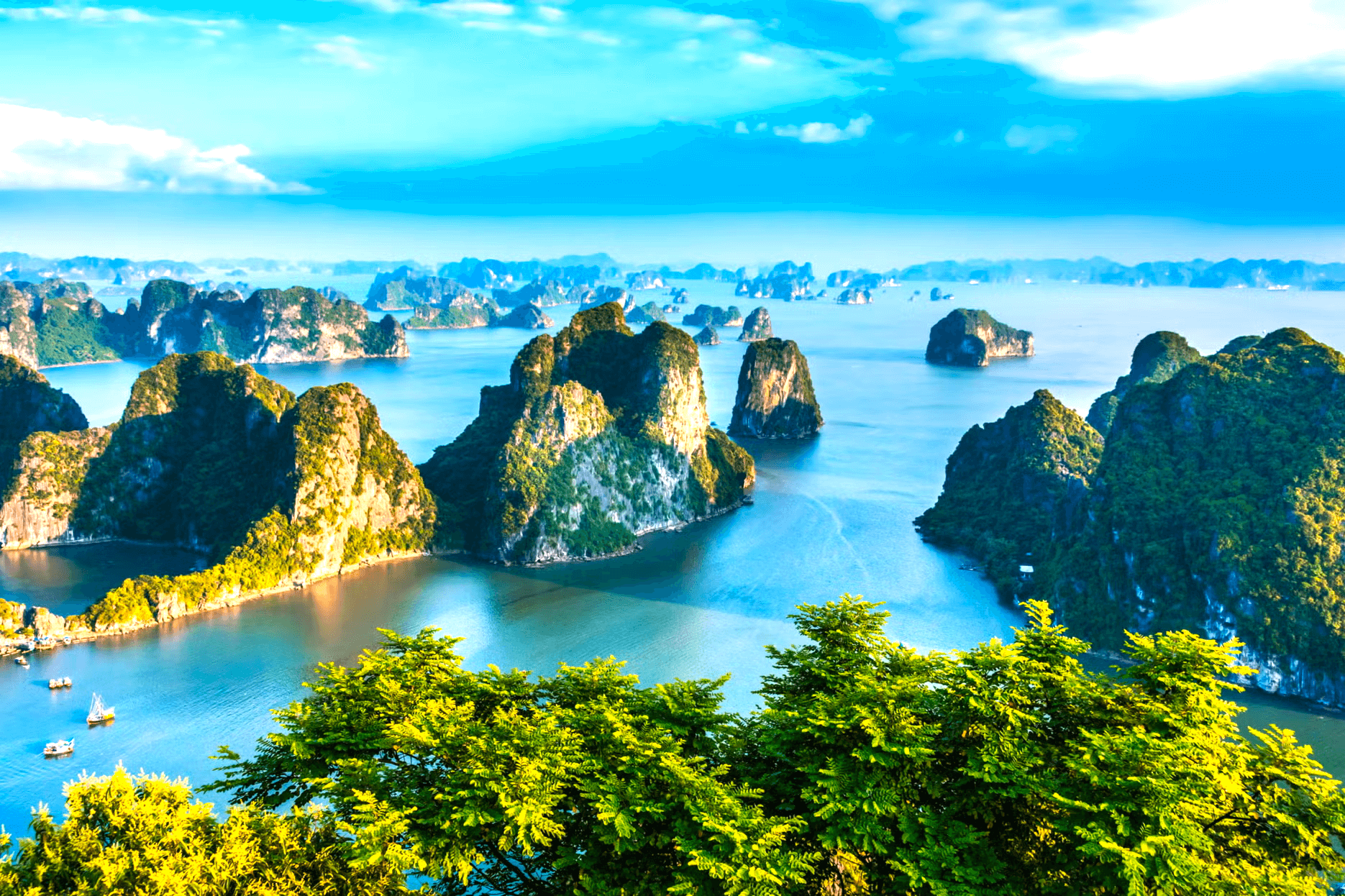 Vietnam An Unforgettable Experience - 07 Days