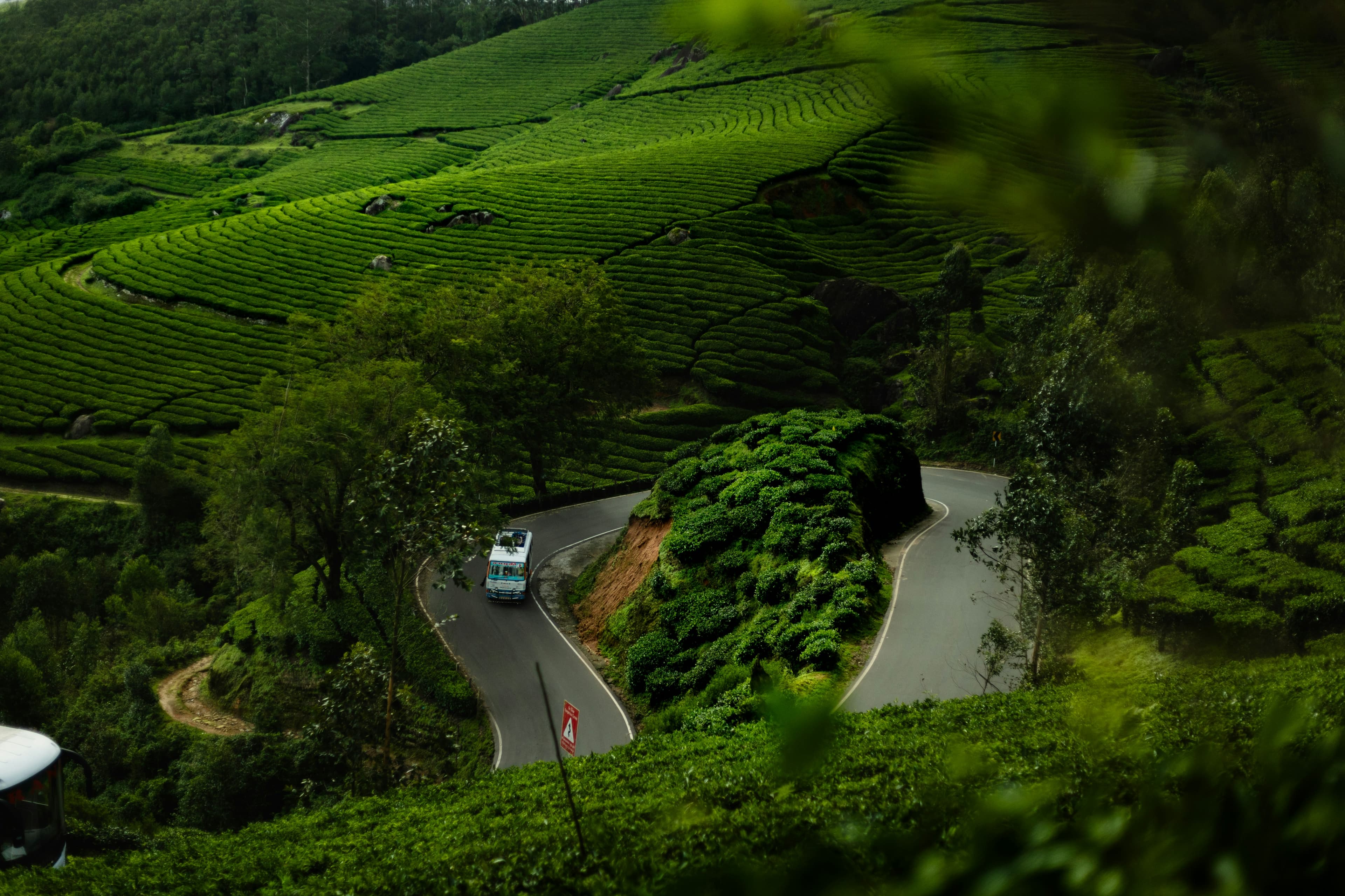 Coffee & Nature Trail – Karnataka & Kerala - 07 Days