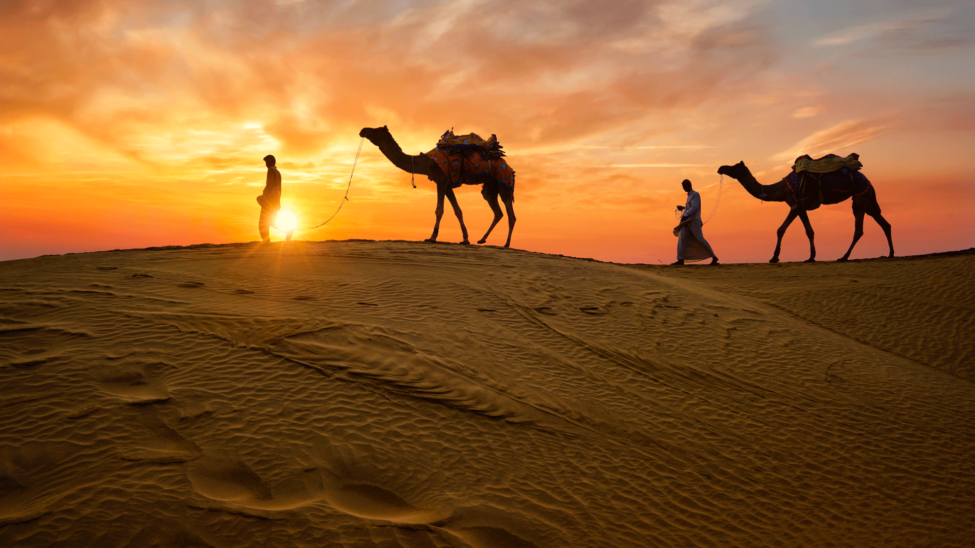 Rajasthan Desert to Royal Palaces - 08 Days