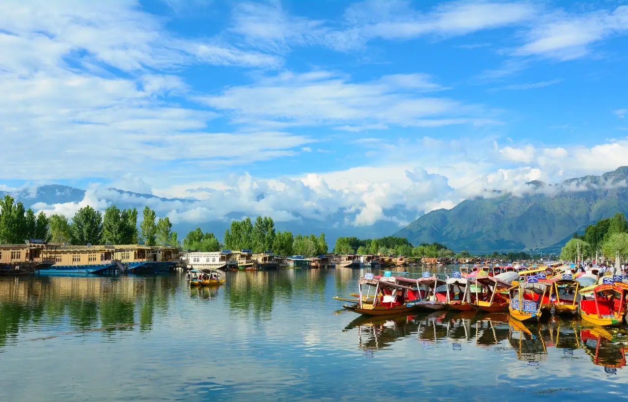 Kashmir Escape with Divine - 08 Days